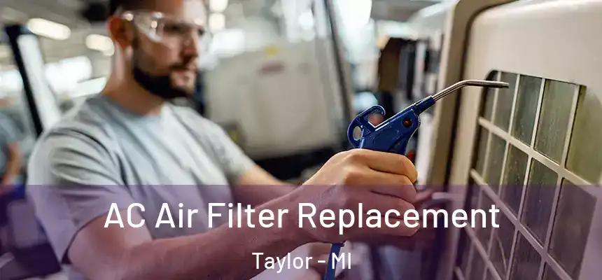  AC Air Filter Replacement Taylor - MI