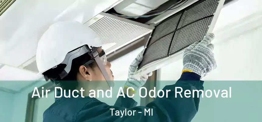  Air Duct and AC Odor Removal Taylor - MI