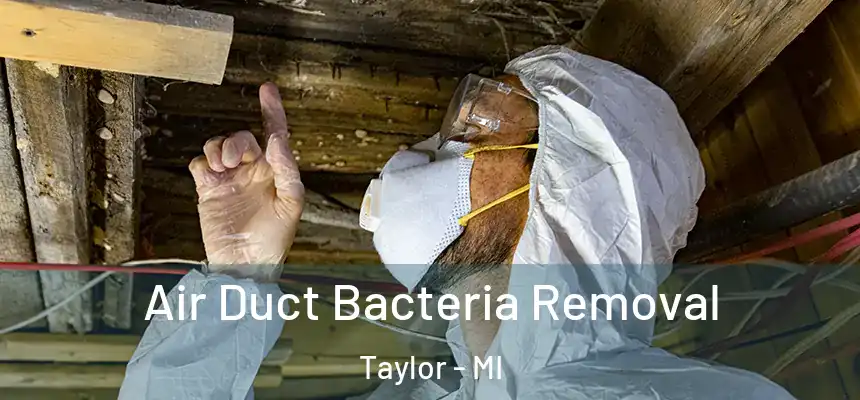Air Duct Bacteria Removal Taylor - MI
