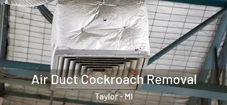 Air Duct Cockroach Removal Taylor - MI