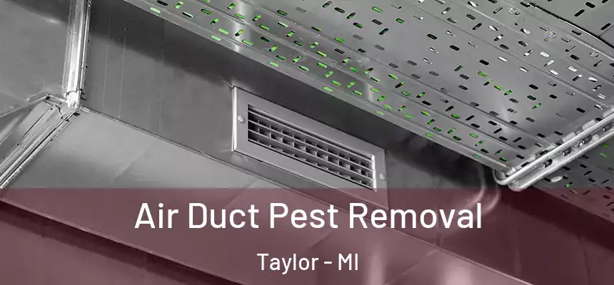 Air Duct Pest Removal Taylor - MI