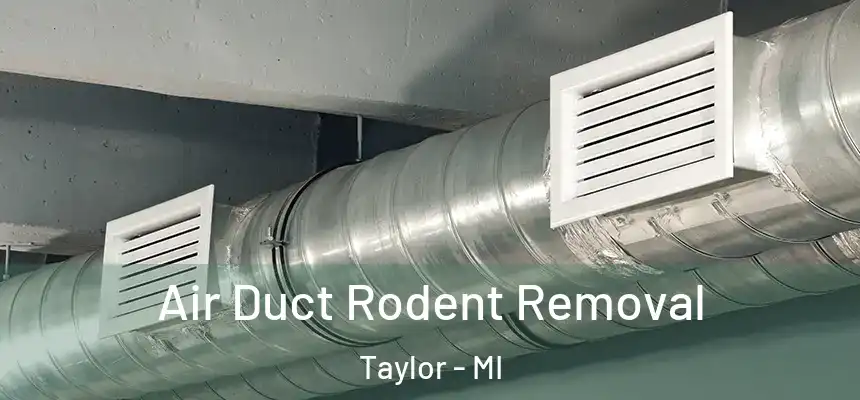 Air Duct Rodent Removal Taylor - MI