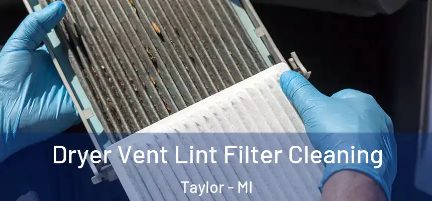  Dryer Vent Lint Filter Cleaning Taylor - MI