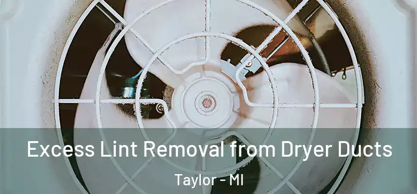  Excess Lint Removal from Dryer Ducts Taylor - MI