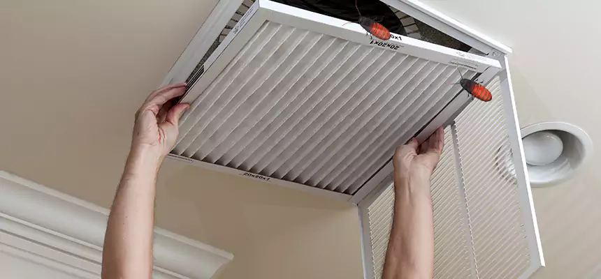 Preventive Cockroach-Proofing for Ducts in Taylor