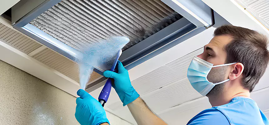 Proactive Dryer Vent & Auxiliary Duct Pollen Cleanup in Taylor, MI
