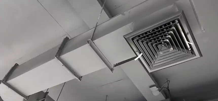 Our Pest Removal From Ducts Services in Taylor, MI