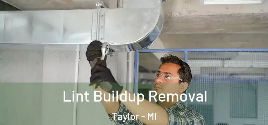  Lint Buildup Removal Taylor - MI