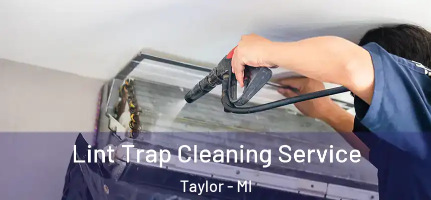  Lint Trap Cleaning Service Taylor - MI
