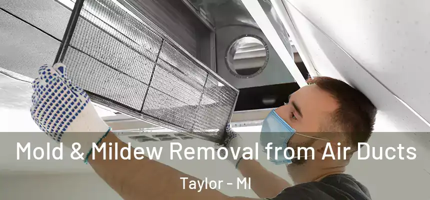 Mold & Mildew Removal from Air Ducts Taylor - MI