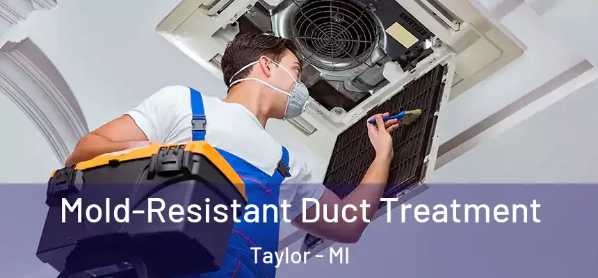 Mold-Resistant Duct Treatment Taylor - MI