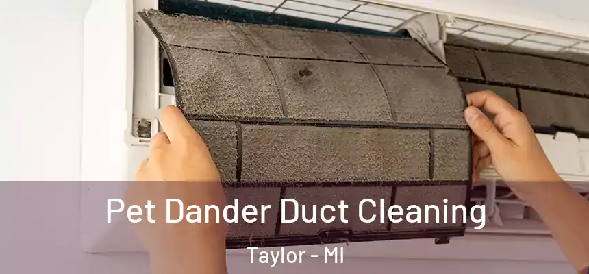  Pet Dander Duct Cleaning Taylor - MI