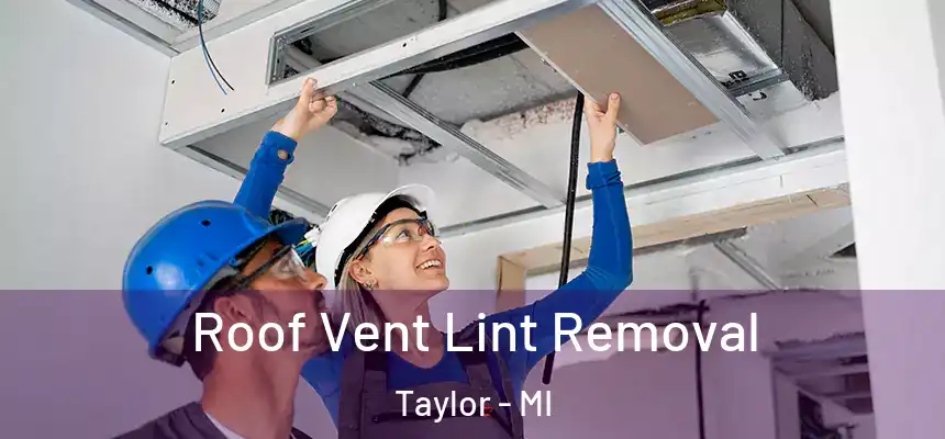 Roof Vent Lint Removal Taylor - MI