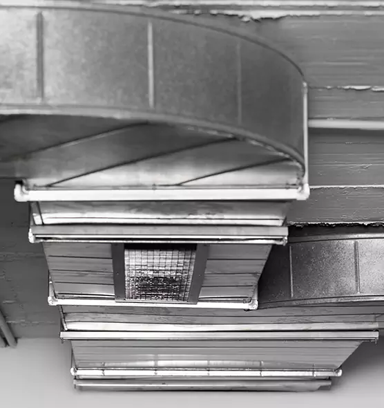 Professional Air Duct Pest Removal in Taylor, MI