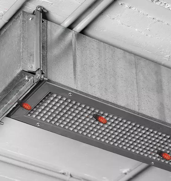 Affordable Insect Removal from Air Ducts in Taylor, MI