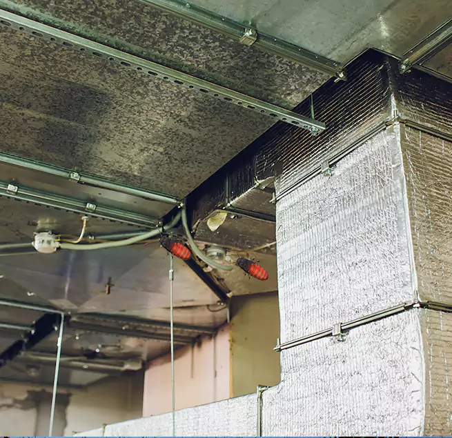 Why Homeowners & Businesses Trust Us in Taylor, MI?