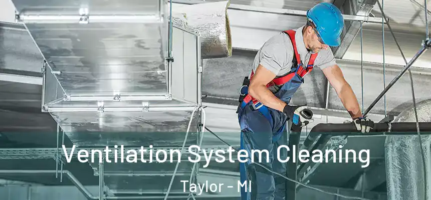  Ventilation System Cleaning Taylor - MI